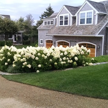 My Landscaping Work