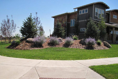 This is an example of a side yard concrete paver landscaping in Denver.