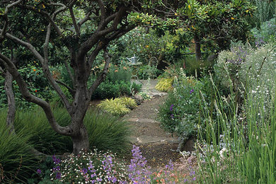 サンフランシスコにある広いトラディショナルスタイルのおしゃれな庭 (砂利舗装) の写真