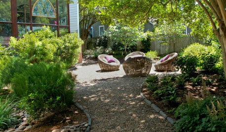 Easy Ways to Manage Stormwater for Lower Bills and a Healthier Earth