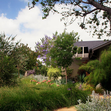 Mystical Habitat Garden