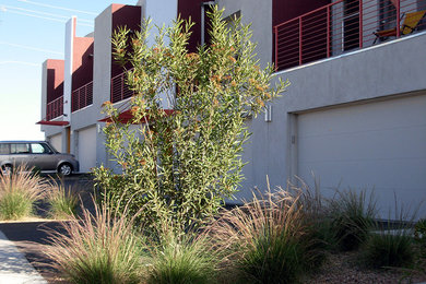 Diseño de jardín contemporáneo pequeño en otoño en patio delantero con exposición parcial al sol