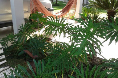 Inspiration for a tropical landscaping in Other.