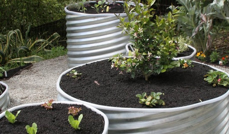 8 Materials for Raised Garden Beds