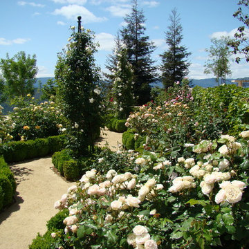 Napa Valley Formal