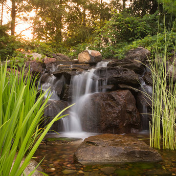 Naperville Koi Pond Water Fall Garden