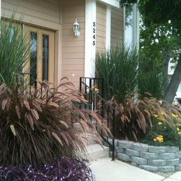 Naples, Long Beach CA   One year after installation- Low Water  Low Maintenance