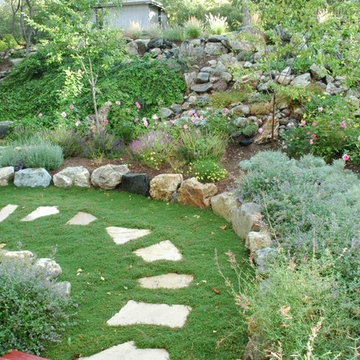 National Style Sandy Colorful Water Wise Front Yard