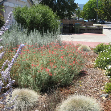 Native Garden (San Jose)