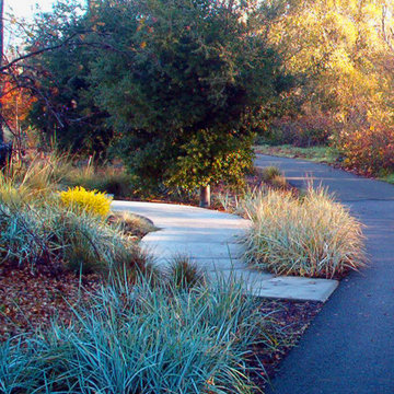 Native grasses and oak trees define the path of a wheelchair accessible ADA ramp