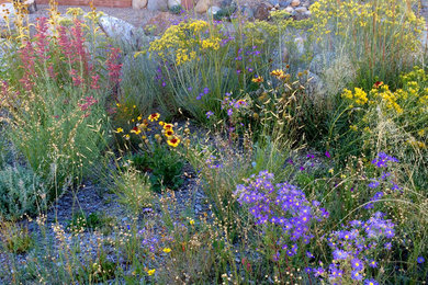 Small bohemian front xeriscape full sun garden for summer in Denver.