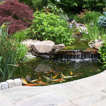Native Landscape and Water Garden