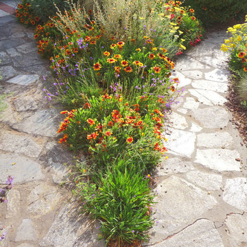 Native Plant Oasis