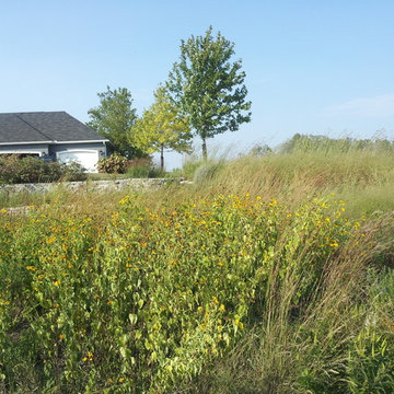 Native Prairie Garden