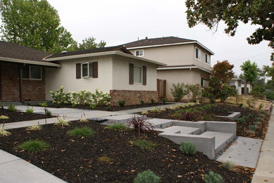 Inspiration for a medium sized contemporary front formal full sun garden in San Francisco with a potted garden and gravel.