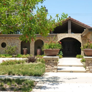 Natural Drought Tolerant Garden