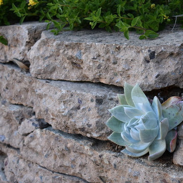 Natural Eclectic Garden