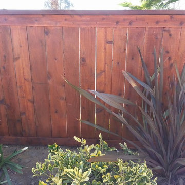 Natural Fence Restoration