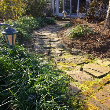 Natural flagstone stepping stone garden path