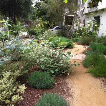 Natural Front Yard for Spanish Home