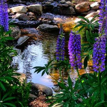 Natural Garden Pond
