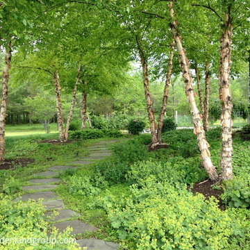 Natural Gardens, Meadows, Woodlands, Habitat Gardens