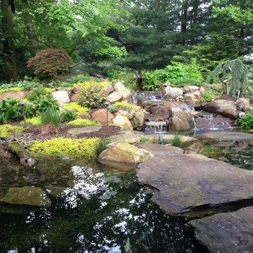 Natural Koi Pond with bridges that you walk across going to the front door.