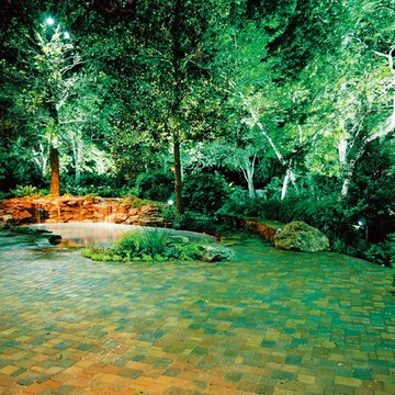 Natural Landscape and Pool Renovation