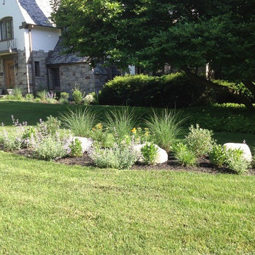 Natural Landscape Design with Native Plants in Suburban Scarsdale