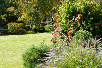 Свежая идея для дизайна: участок и сад в стиле рустика - отличное фото интерьера