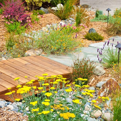 Inspiration for a mediterranean landscaping in San Luis Obispo.