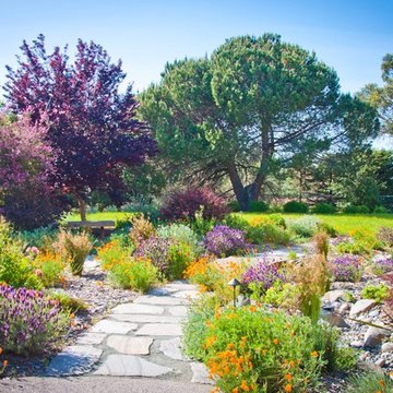 Natural Landscapes