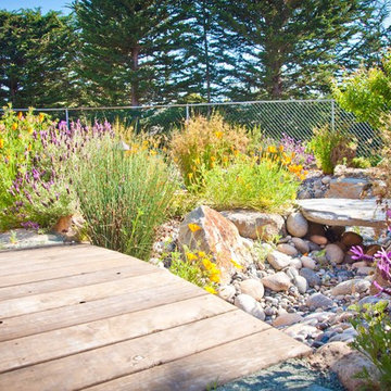 Natural Landscapes