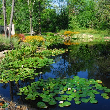 Natural Pond