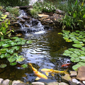 Natural Pond with Koi Fish in Loganville, GA