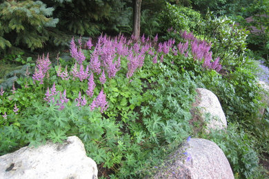 Inspiration for a transitional hillside mulch landscaping in Grand Rapids.