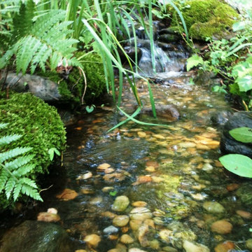Natural Stream in Atlanta Backyard by Universal Aquatics