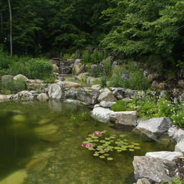 Natural swim pond
