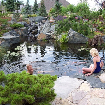 Natural Swimming Ponds (Long Island/NY):