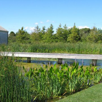Natural Swimming Pool