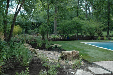Источник вдохновения для домашнего уюта: большой засухоустойчивый сад на заднем дворе в современном стиле с полуденной тенью и мощением тротуарной плиткой