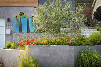 ロサンゼルスにある中くらいなモダンスタイルのおしゃれな庭 (ゼリスケープ、擁壁) の写真