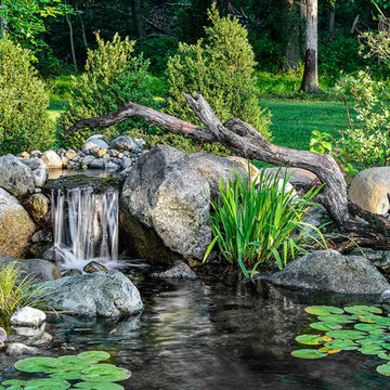 Naturalistic pond with waterfall