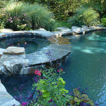 Naturalistic Swimming Pool