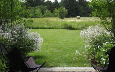 Ленивый сад: 17 советов, которые сэкономят вам силы