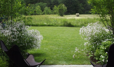 Ленивый сад и его обитатели | Ландшафтный дизайн