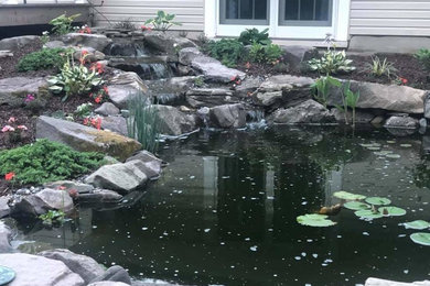 This is an example of a medium sized traditional back full sun garden for summer in Philadelphia with a pond.