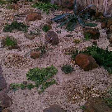 New Cactus Garden Install