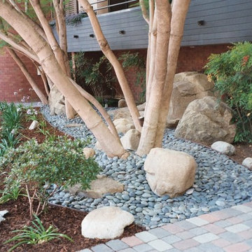 New Dry Riverbed and Plantings