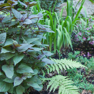 New England Perennial Flower Gardens